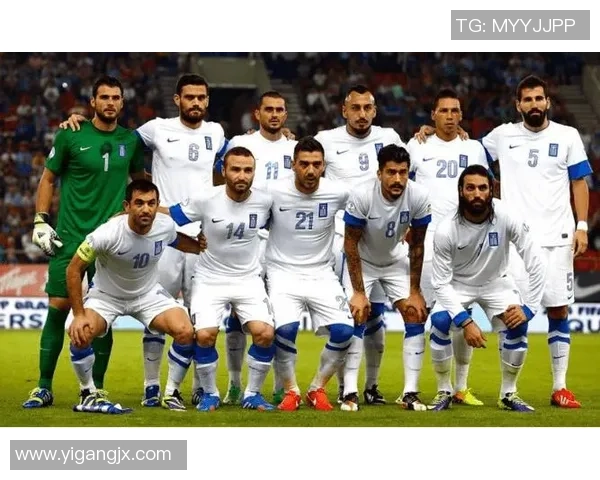 南京足球队实力分析及其在联赛中的表现评估与趋势研究